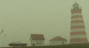 Wes Anderson Movie GIF by The Good Films
