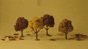 samirawinter new winter yellow autumn GIF