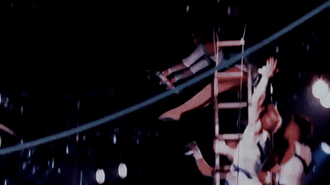 Catch Flying GIF by Ringling Bros. and Barnum & Bailey