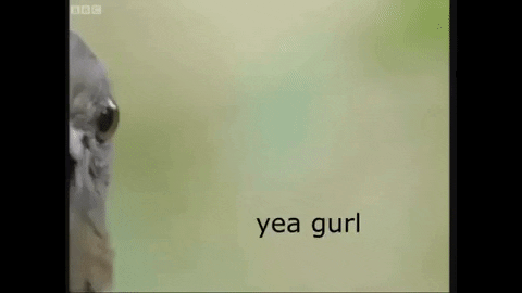 karlapinkfireprince giphygifmaker lemme smash GIF