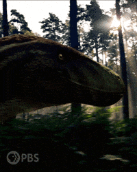 Walking With Dinosaurs Run GIF by PBS