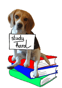 Dog Lesen Sticker by Lieblings-Stück