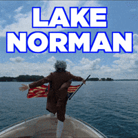 North Carolina Summer GIF