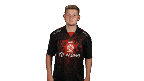 Mainz 05 What Sticker by Bundesliga