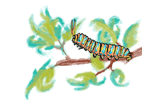 The Butterfly Art Sticker by Foil Me