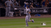 Ny Mets Reaction GIF by New York Mets