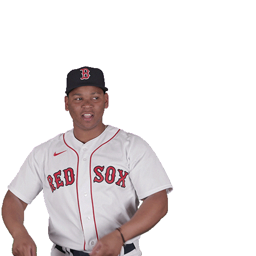Red Sox Baseball Sticker by Boston Red Sox