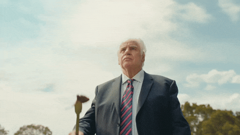 MeatAndLivestockAustralia giphyupload lamb summerbbq kochie GIF
