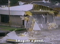 Imagine A Pond On Your Own Property