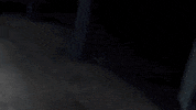 Jump Jumping GIF by JELEEL
