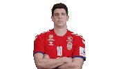 Sport Celebration Sticker by EHF