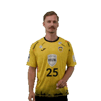 Handball Coburg Sticker by DAIKIN HBL