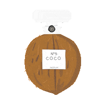 Water Coco Sticker by DisMoiDesMotu