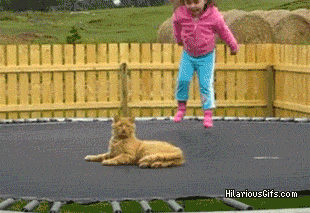 couple fu GIF