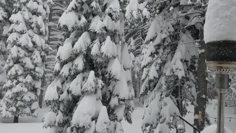 snow day GIF