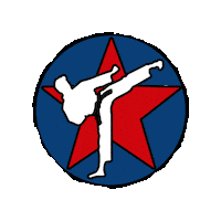 Martial Arts Taekwondo Sticker by AllstarMartialArtsAcademy
