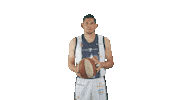 Astrosdejalisco astros astros de jalisco astros basketball karím rodríguez Sticker