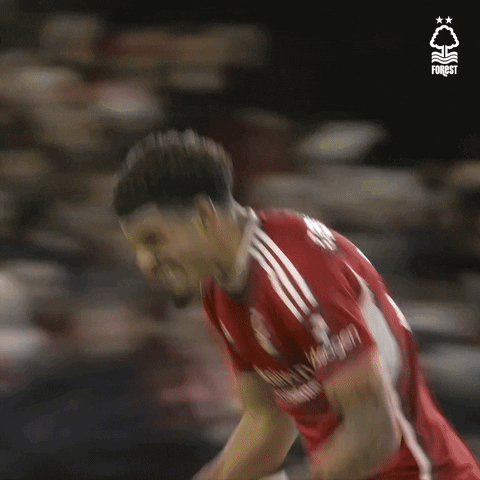 Football Win GIF by Nottingham Forest