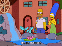 homer simpson episode 21 GIF