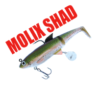 Molixlures Sticker by molix
