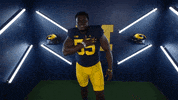 Go Blue College Football GIF by Michigan Athletics