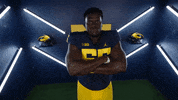 Go Blue College Football GIF by Michigan Athletics
