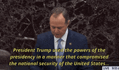 news impeachment adam schiff senate trial GIF