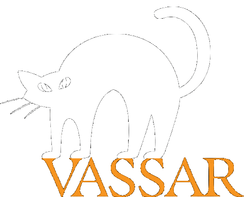 Cat Halloween Sticker by Vassar College