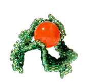 Ring Silk Sticker by TAM ILLI