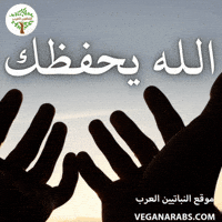 الله GIF by VeganArabs