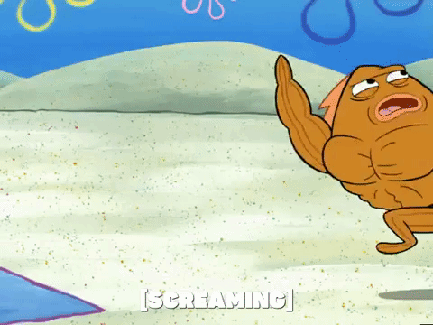 season 4 GIF by SpongeBob SquarePants