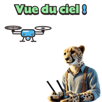 Business Drone Sticker by solydari
