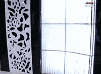 Sassy Dance GIF