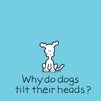 Dogs Youre Cute GIF by Chippy the Dog