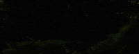 On My Mind Yo Moxie GIF by Moxie Raia