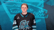 Brush Em Off San Jose GIF by San Jose Barracuda