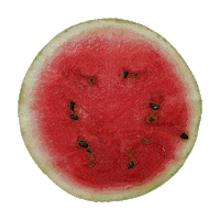 madtasty cbd hemp sparkling water mad tasty Sticker