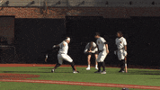 Home Run Celebration GIF by Cincinnati Bearcats