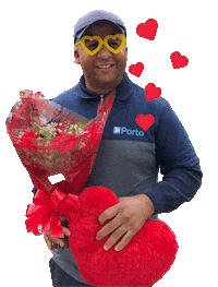 In Love Sticker by Porto