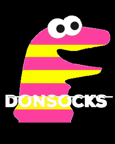 Donsocks giphygifmaker socks divertidos calcetines GIF