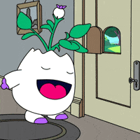 My Life GIF by Magic Eden