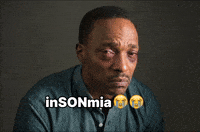Sonion GIF