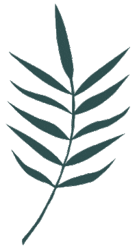 Flower Plant Sticker by Teacher Created Resources