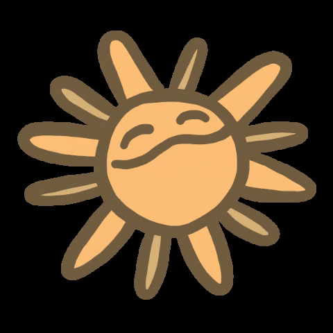 sisc giphygifmaker hot smile sun GIF