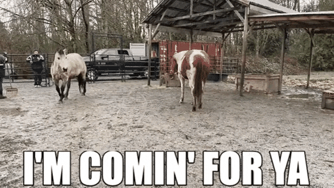 JiniP giphygifmaker get outta here coming for you after you GIF