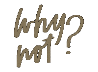 Ynot Sticker