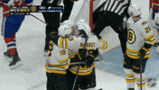 Happy Boston Bruins GIF by NHL