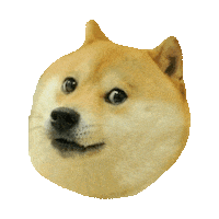 dogs doge STICKER by imoji