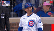Are You Sure Chicago Cubs GIF