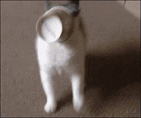 beep GIF